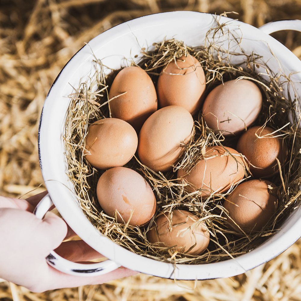 De gezondheidsvoordelen van eitjes in een gezond en fit leven