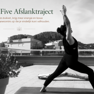 Blue Five AfslankTraject